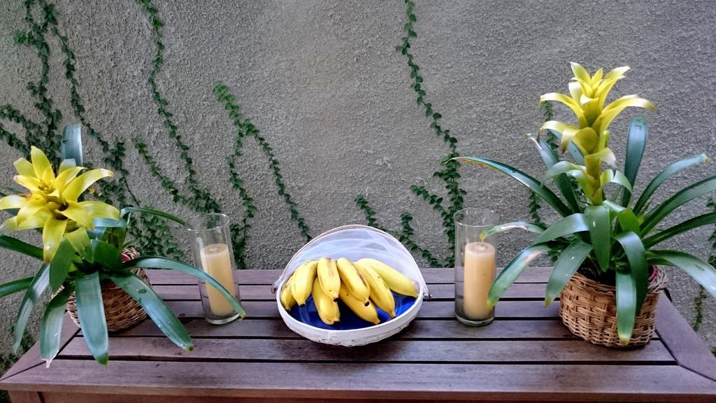 Gavea Bnb Rio de Janeiro Dış mekan fotoğraf